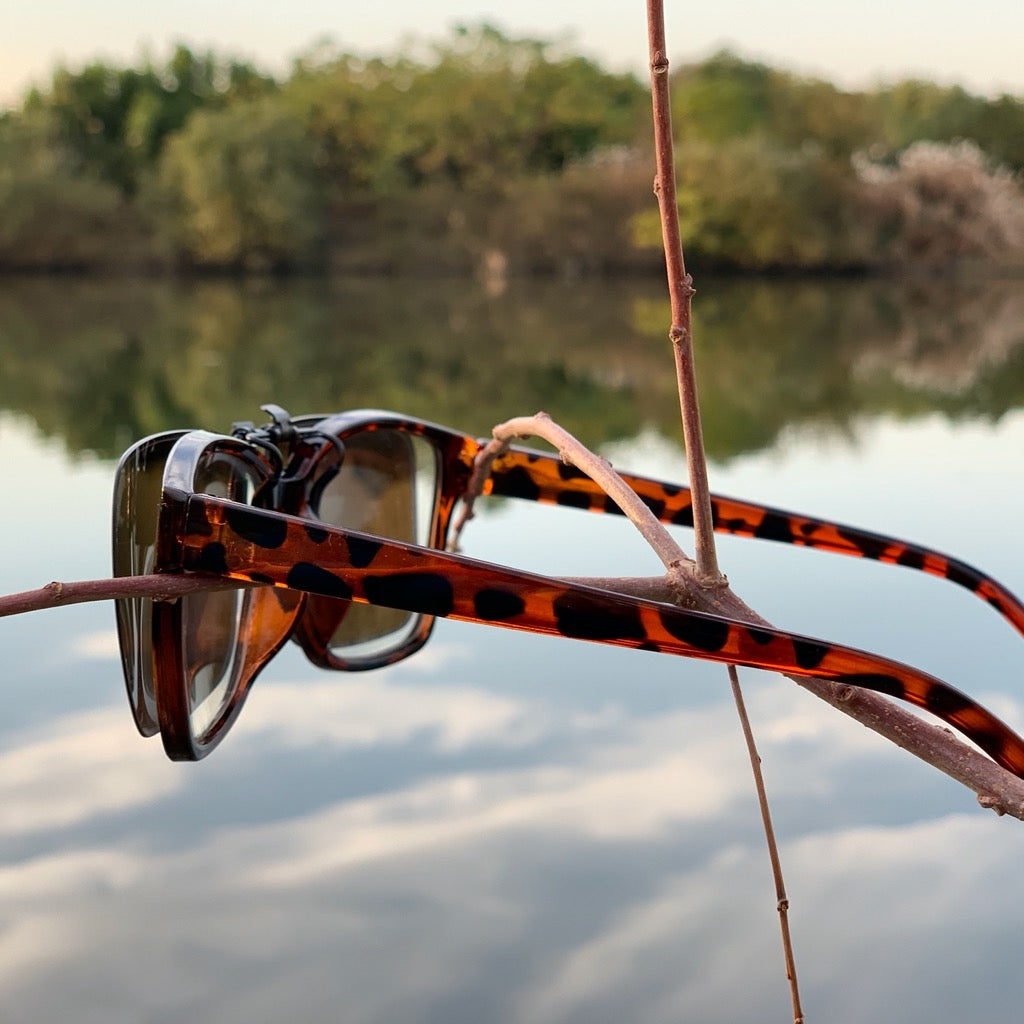 Clip Sunglasses Type2