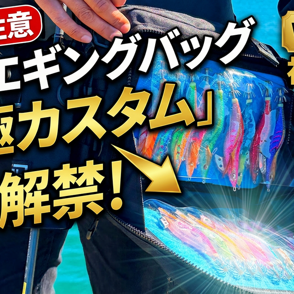 サイドエギングセットが機動力の壁を超える